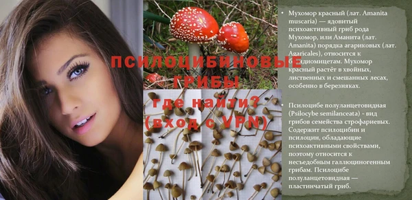 бошки Нефтекумск